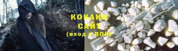 сатива Абаза